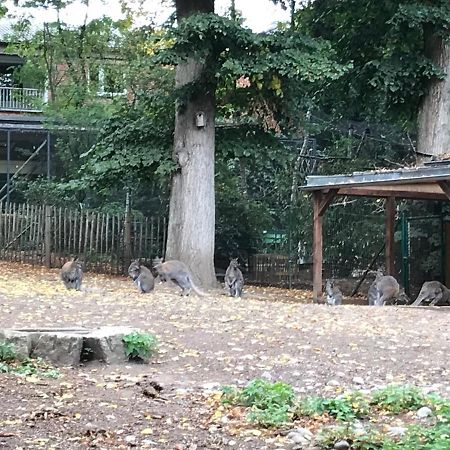 Ferienhaus Am Park Am Roehrensee Bayreuth Ngoại thất bức ảnh