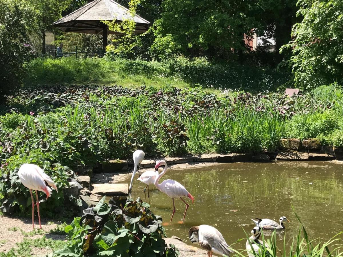 Ferienhaus Am Park Am Roehrensee Bayreuth Ngoại thất bức ảnh
